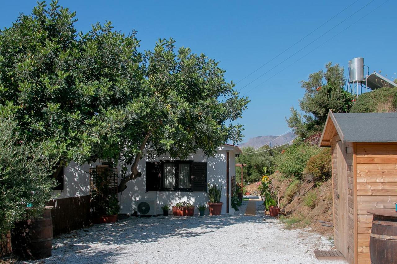Summer Dream Cottage, 2Br, Beautiful Sea View 莫什劳斯 外观 照片
